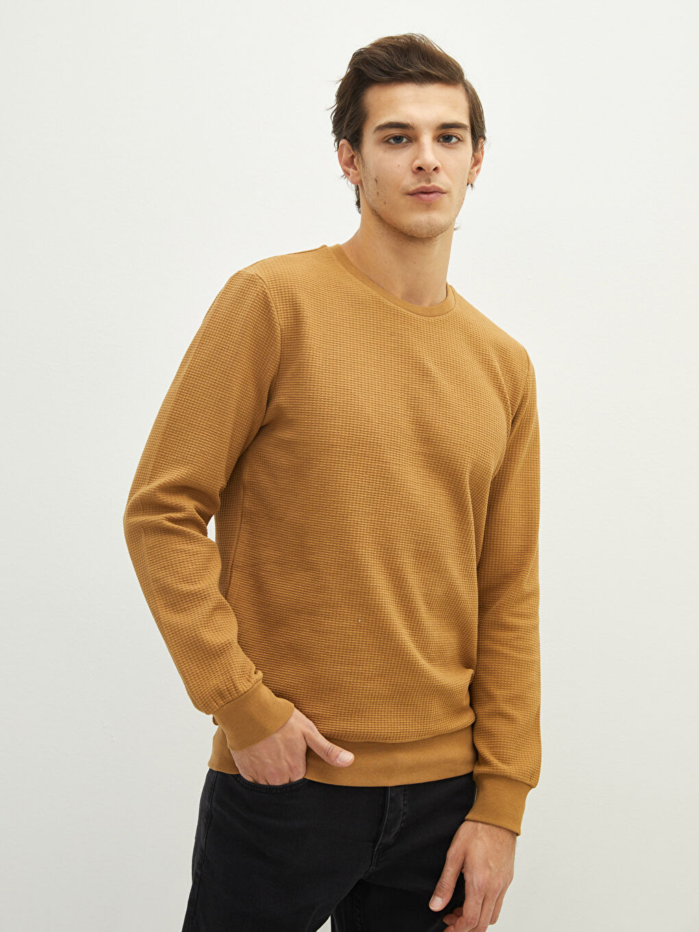 Crew Neck Long Sleeve Men's Sweatshirt-1