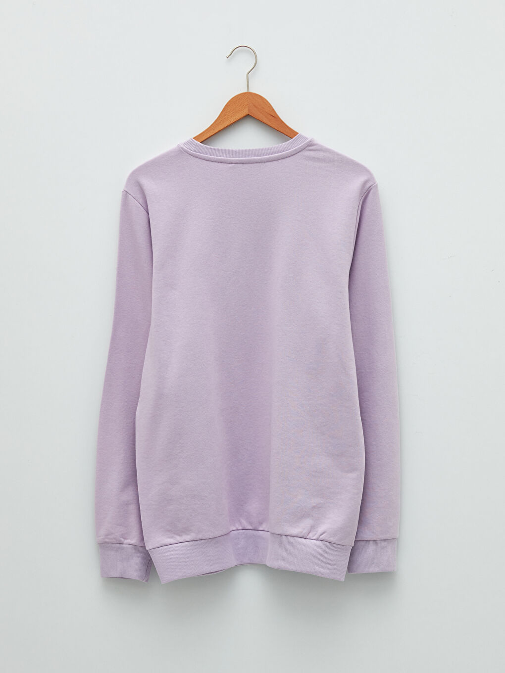 Crew Neck Long Sleeve Printed Men's Sweatshirt-6
