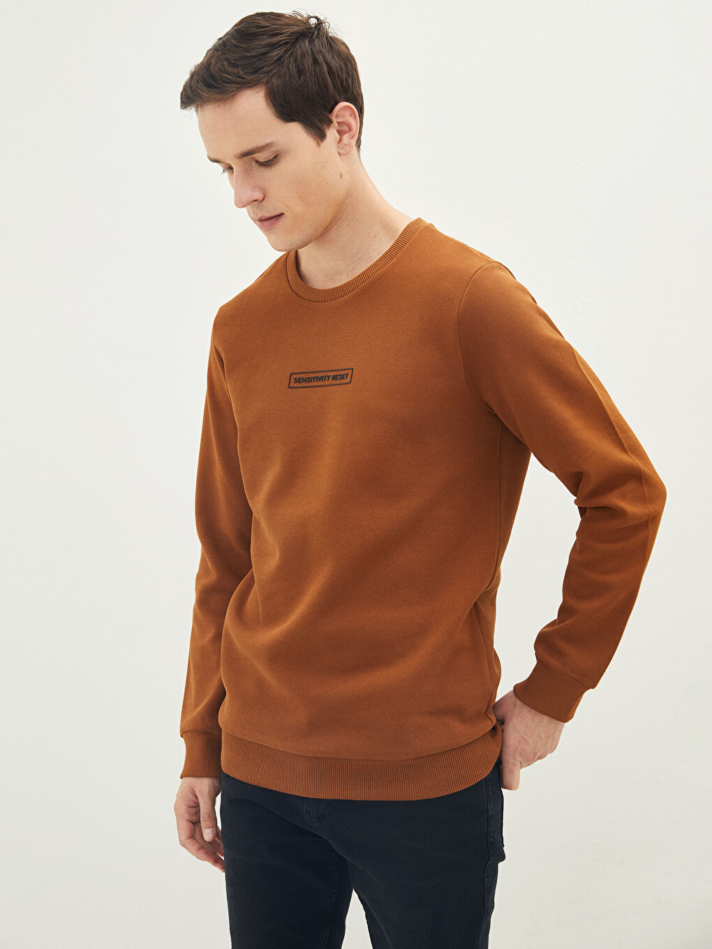 Crew Neck Long Sleeve Men's Sweatshirt-1