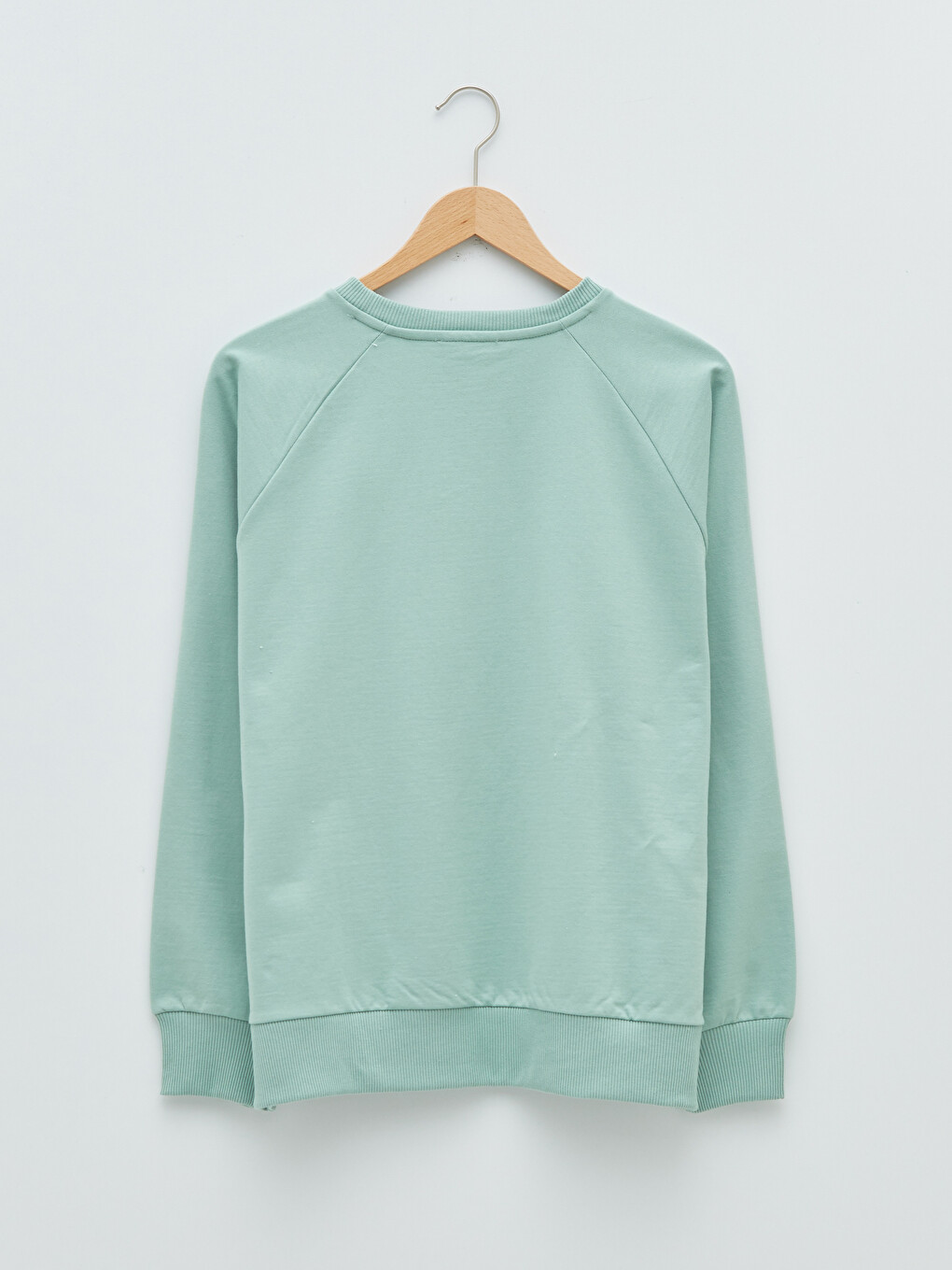 Crew Neck Plain Long Sleeve Women's Sweatshirt-6