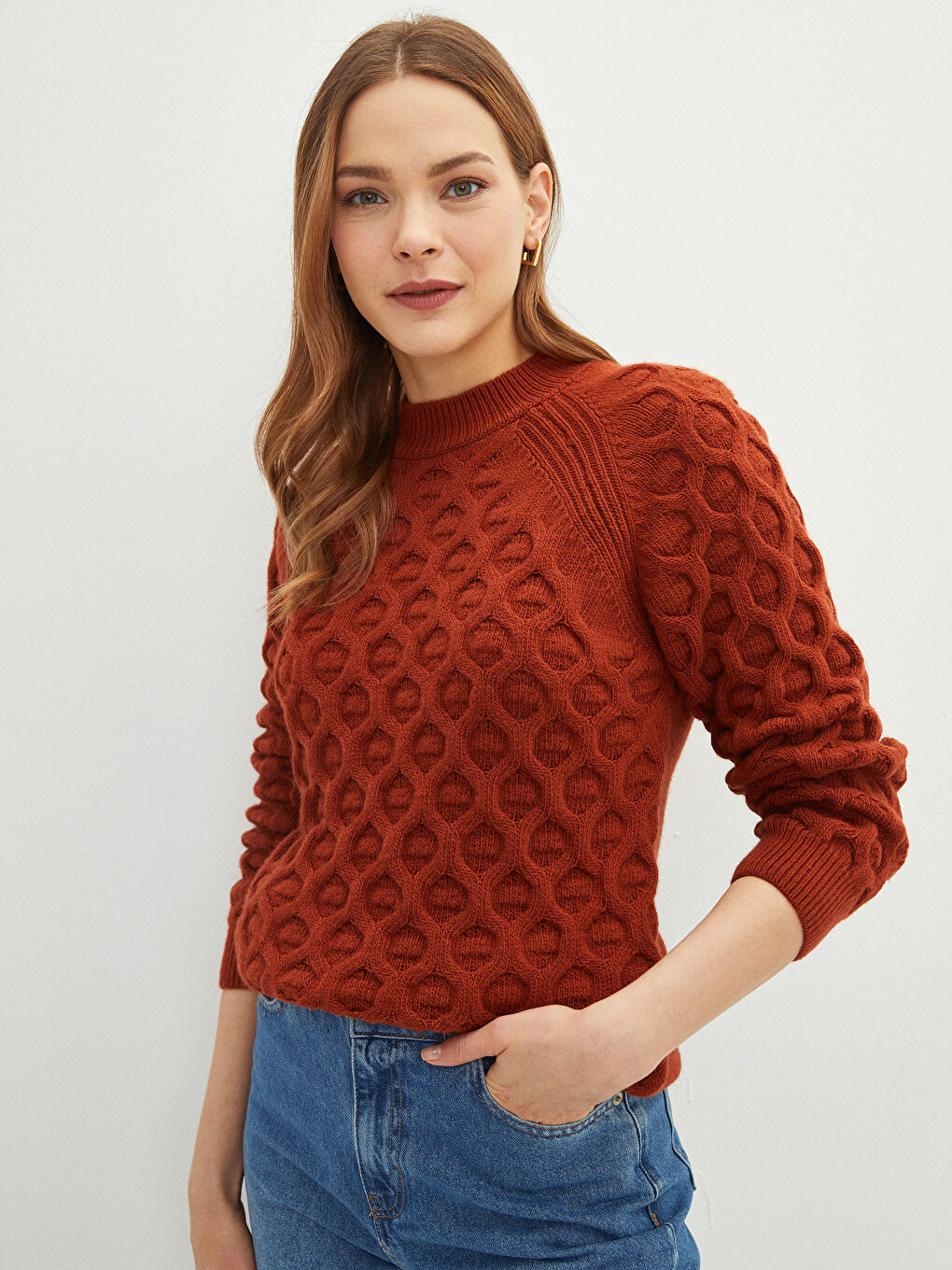 Crew Neck Self Patterned Long Sleeve Women's Knitwear Sweater-1