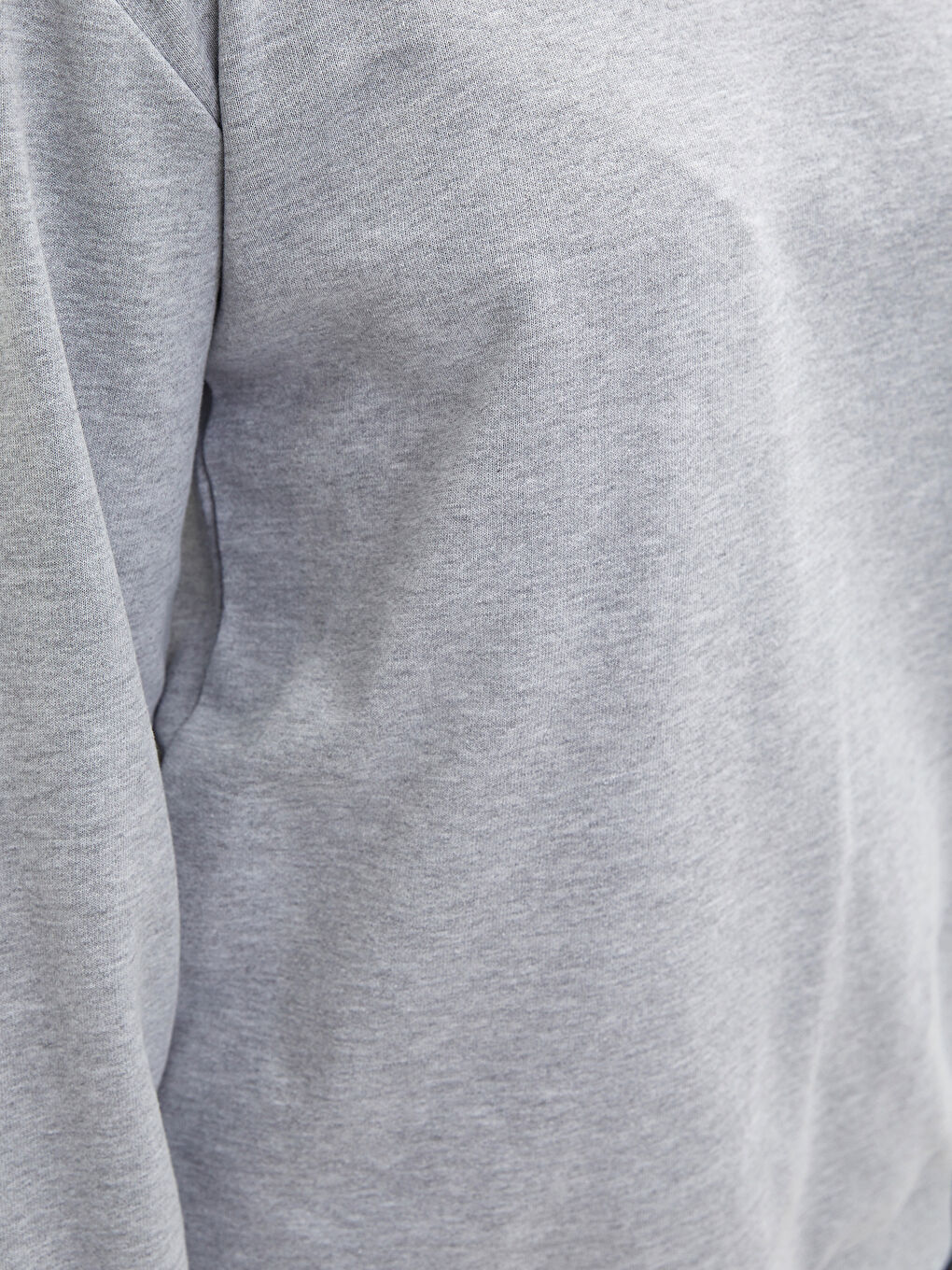 Sweat-shirt pour Femmes Grande Taille Col Rond Régulier Manches Longues-2