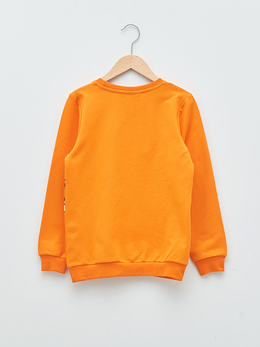 Crew Neck Toy Story Printed Long Sleeve Boy Sweatshirt-1