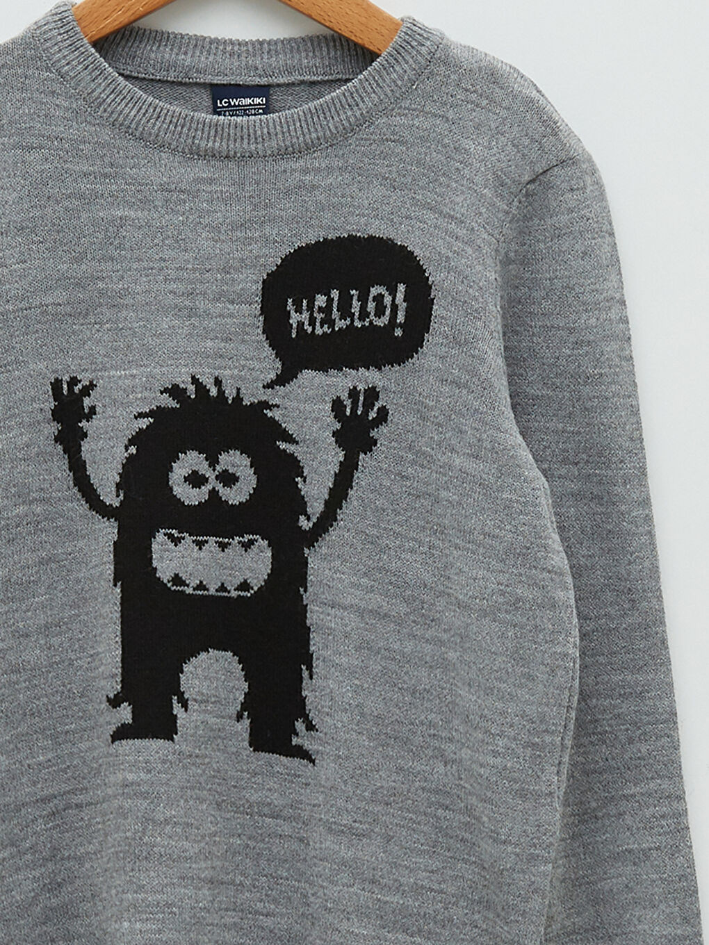 Crew Neck Patterned Long Sleeve Boy Tricot Sweater-2