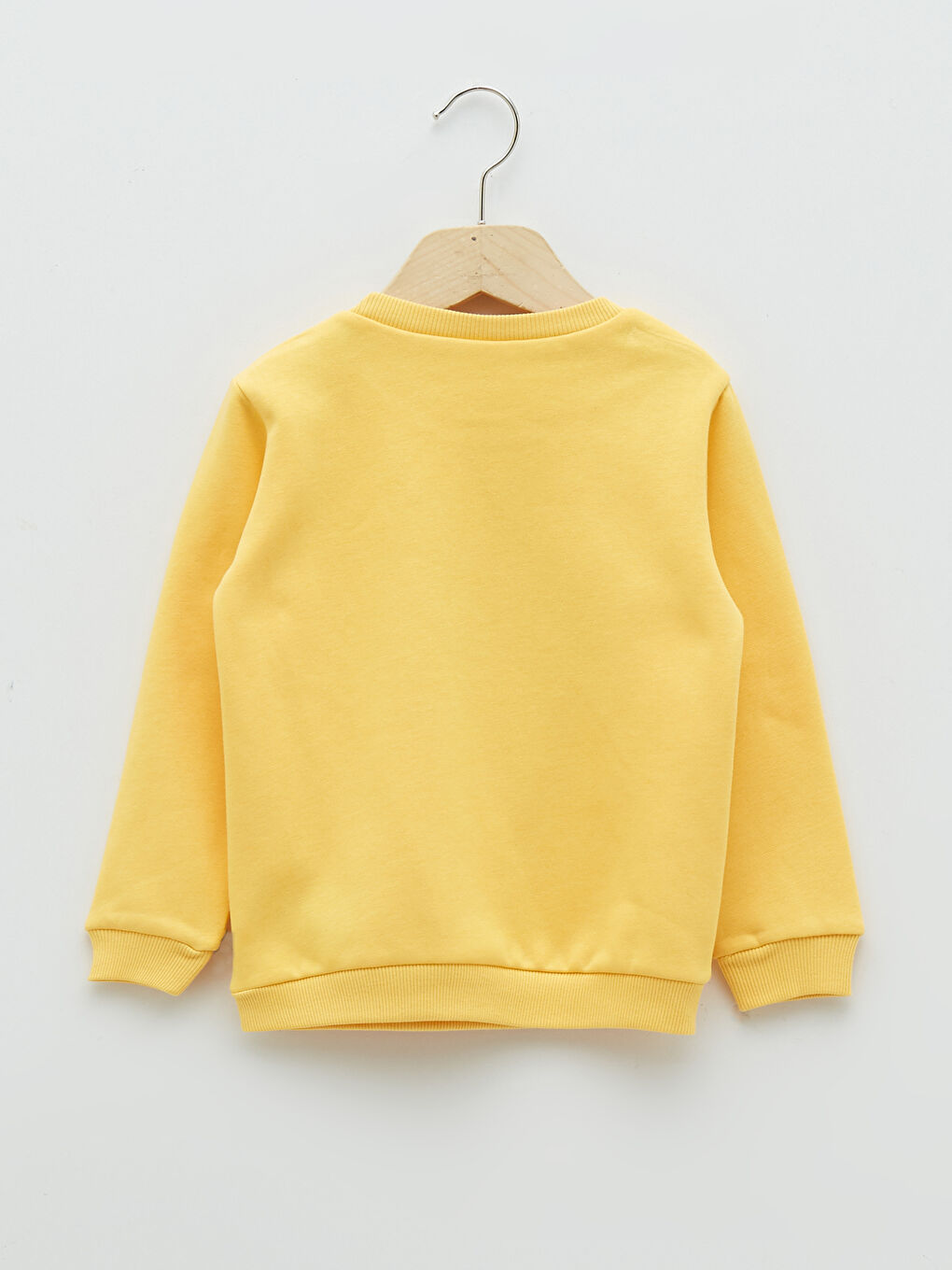 Crew Neck Long Sleeve Printed Baby Boy Sweatshirt 2-Pack-3