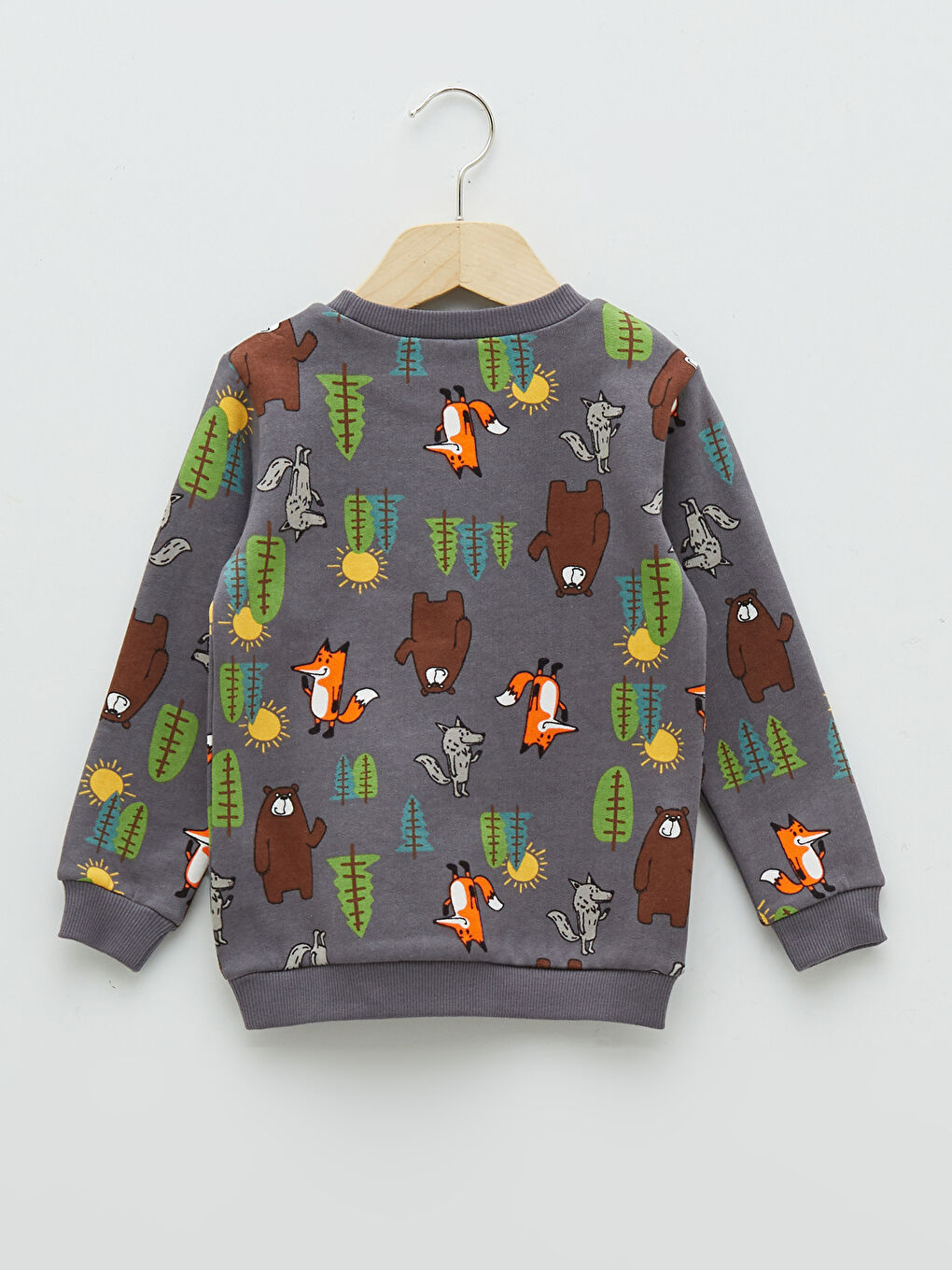 Crew Neck Long Sleeve Printed Baby Boy Sweatshirt 2-Pack-4