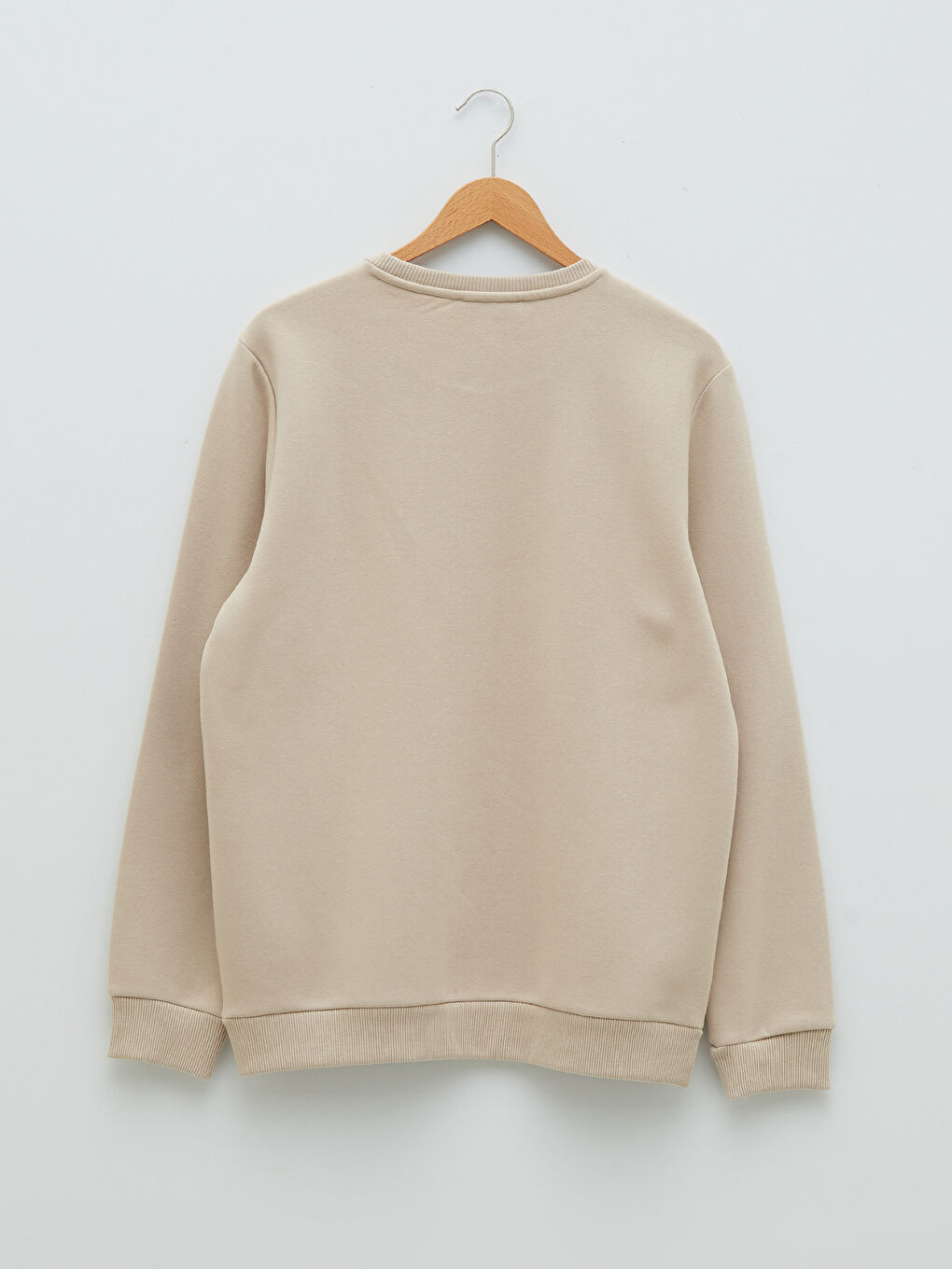 Crew Neck Long Sleeve Men's Sweatshirt-6