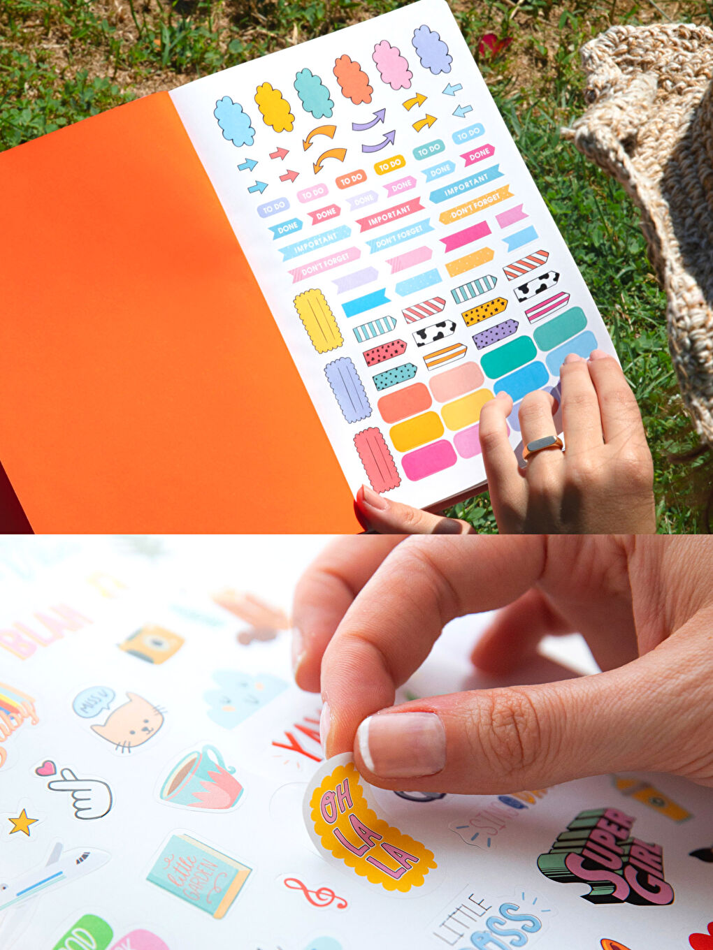 لي كولور أجندة أكاديمية زهري-1