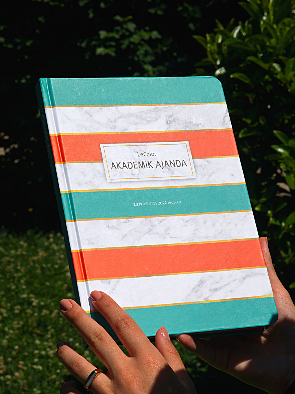 Le Color Color Block Akademska Agenda