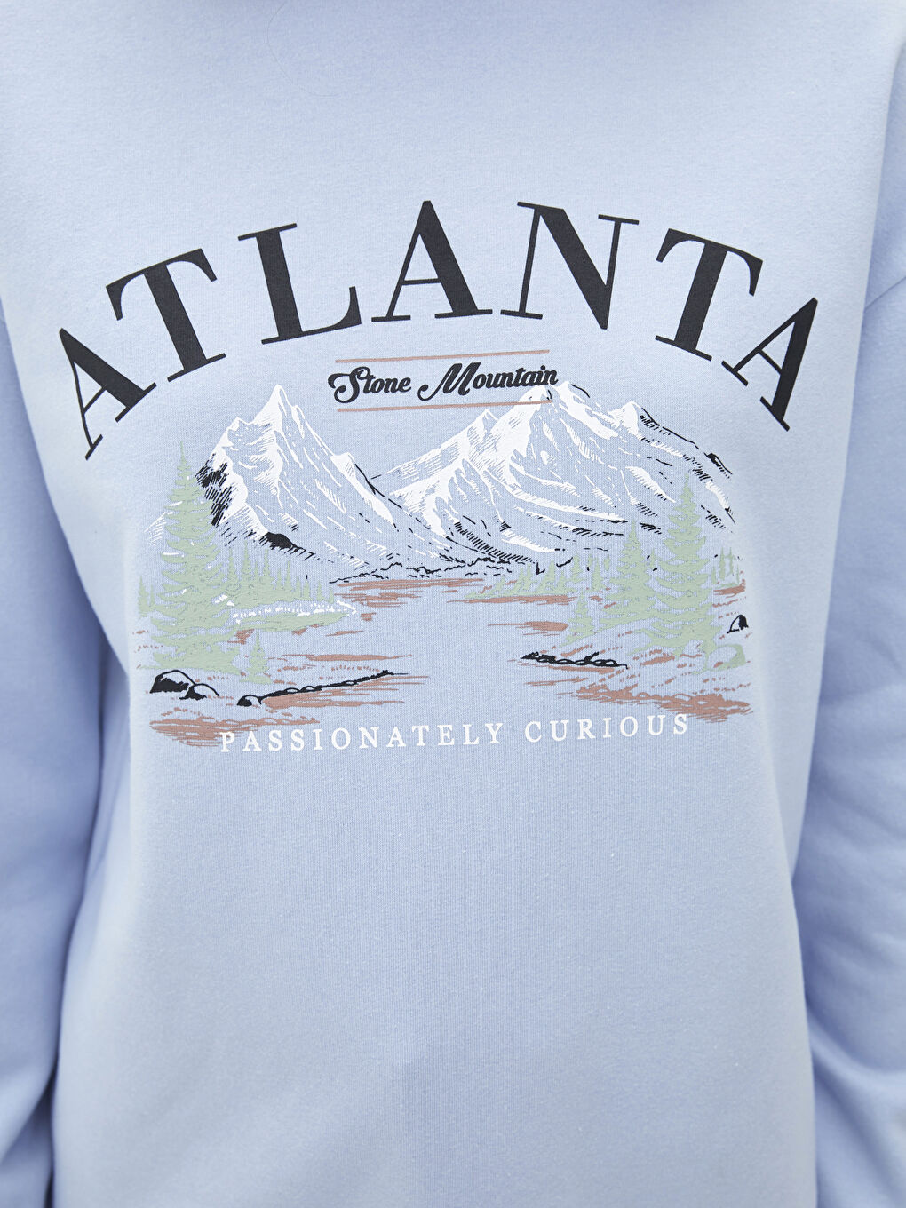 Crew Neck Printed Women's Thick Sweatshirt-3