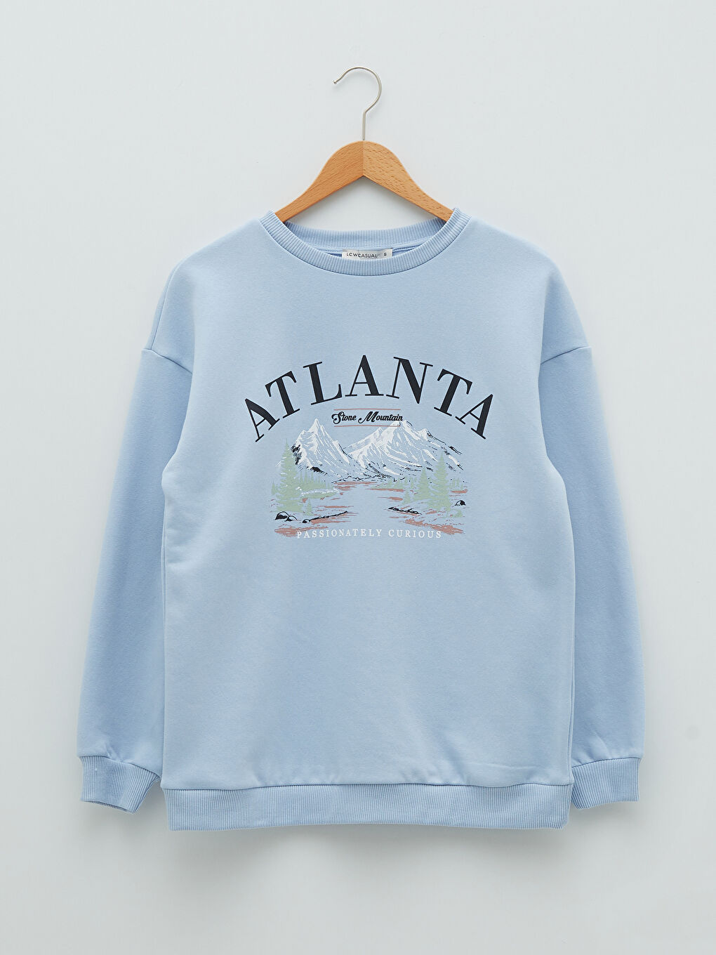 Crew Neck Printed Women's Thick Sweatshirt-5