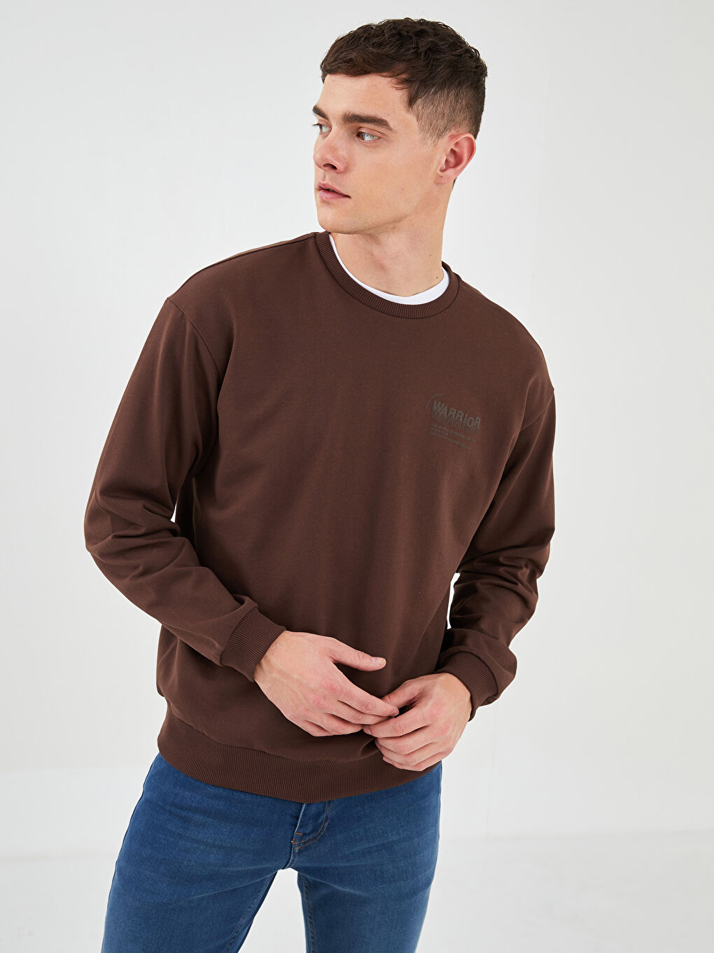 Crew Neck Long Sleeve Printed Men's Sweatshirt-1