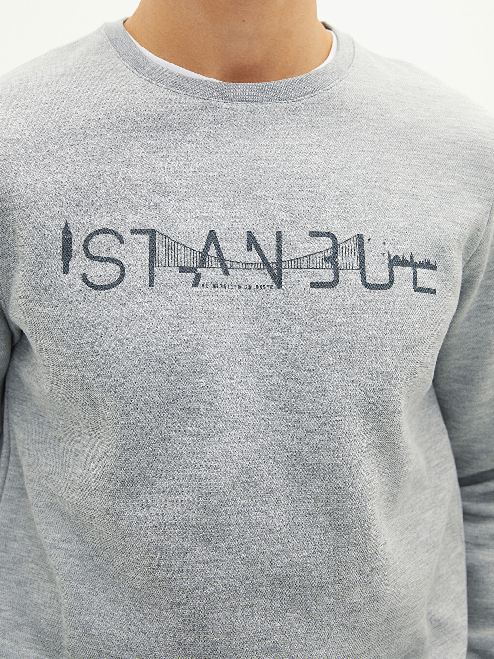 Crew Neck Long Sleeve İstanbul Printed Men's Sweatshirt-2