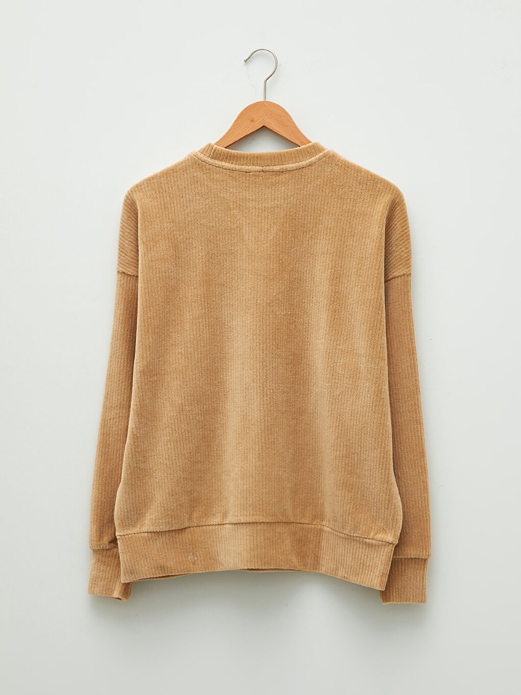 Crew Neck Regular Long Sleeve Velvet Women's Sweatshirt-6