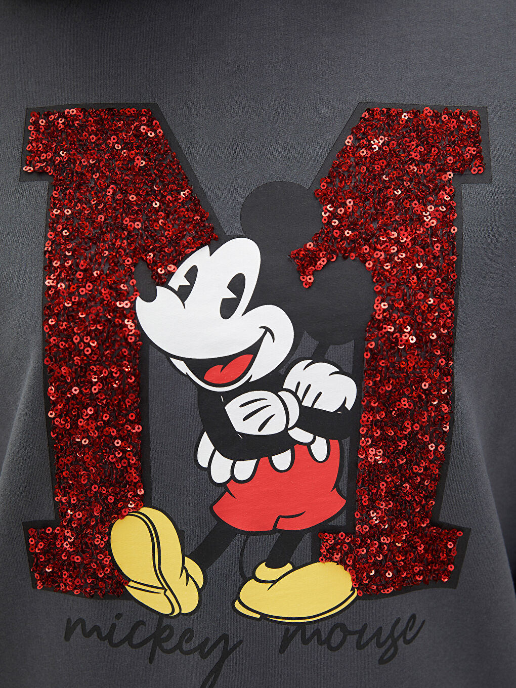 LCW Vision Antrasit Mickey Mouse Baskılı Kadın Kalın Hoodie - 2