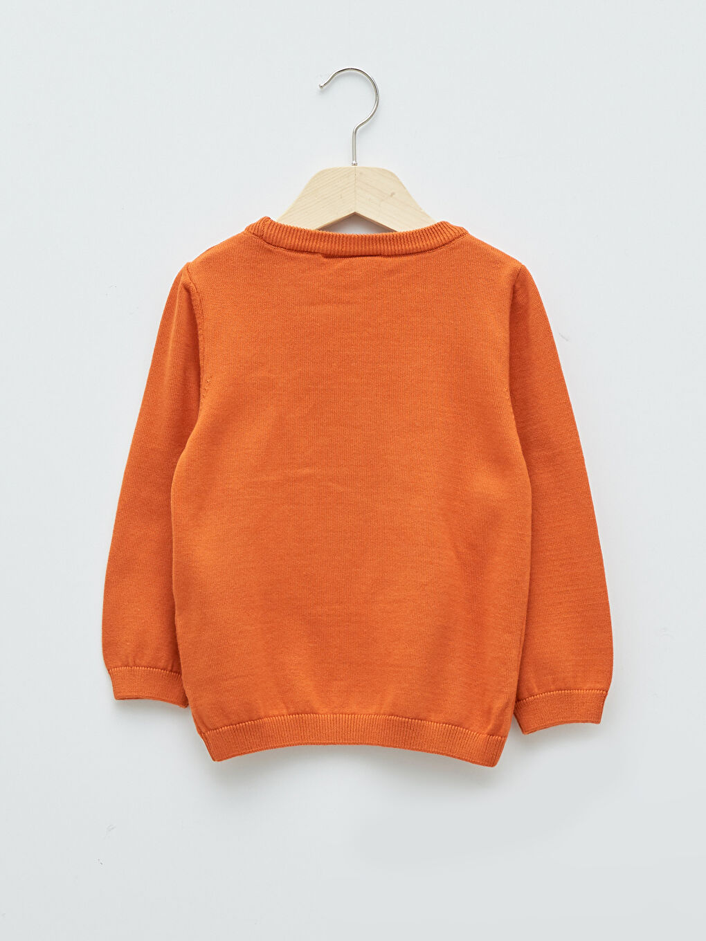 Crew Neck Pluto Patterned Long Sleeve Baby Boy Knitwear Sweater-1