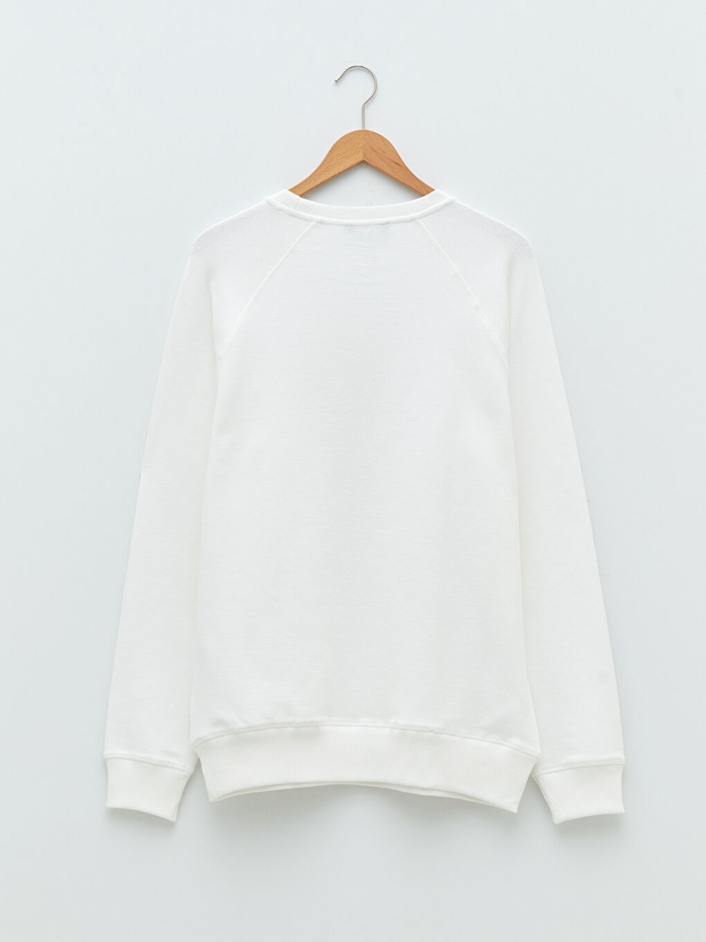 Crew Neck Long Sleeve Men's Sweatshirt-1