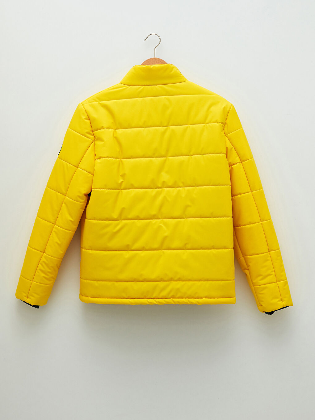 Sarı Standart Kalıp Dik Yaka Erkek Mont-1