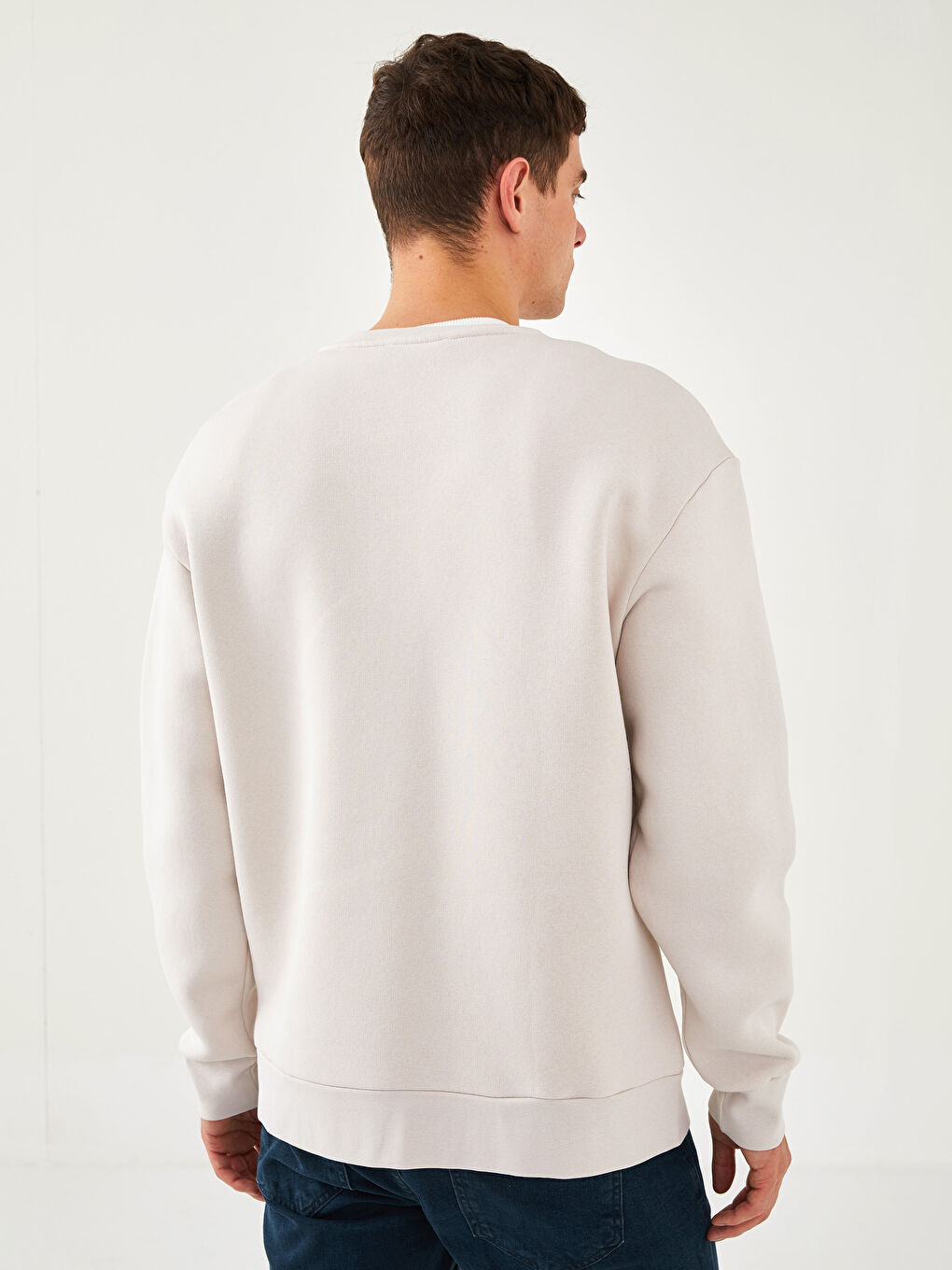 Crew Neck Printed Men's Thick Sweatshirt-4
