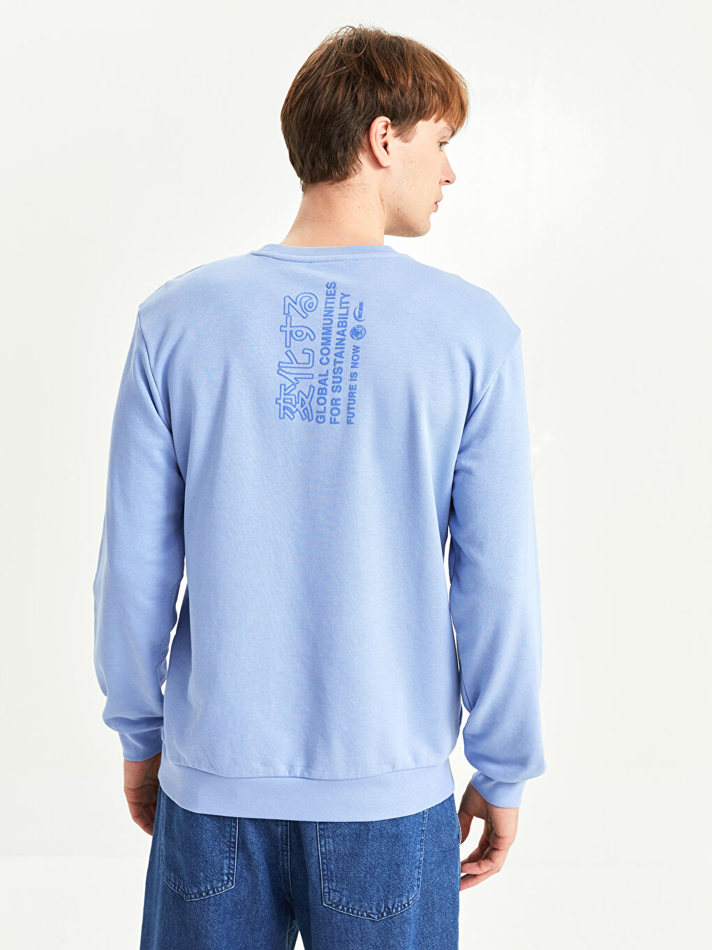 Crew Neck Long Sleeve Printed Men's Sweatshirt-4