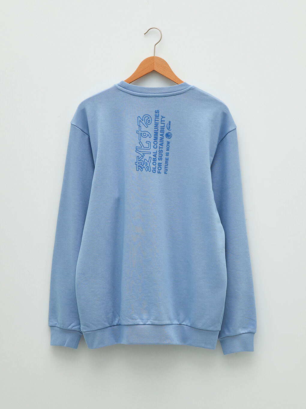 Crew Neck Long Sleeve Printed Men's Sweatshirt-6