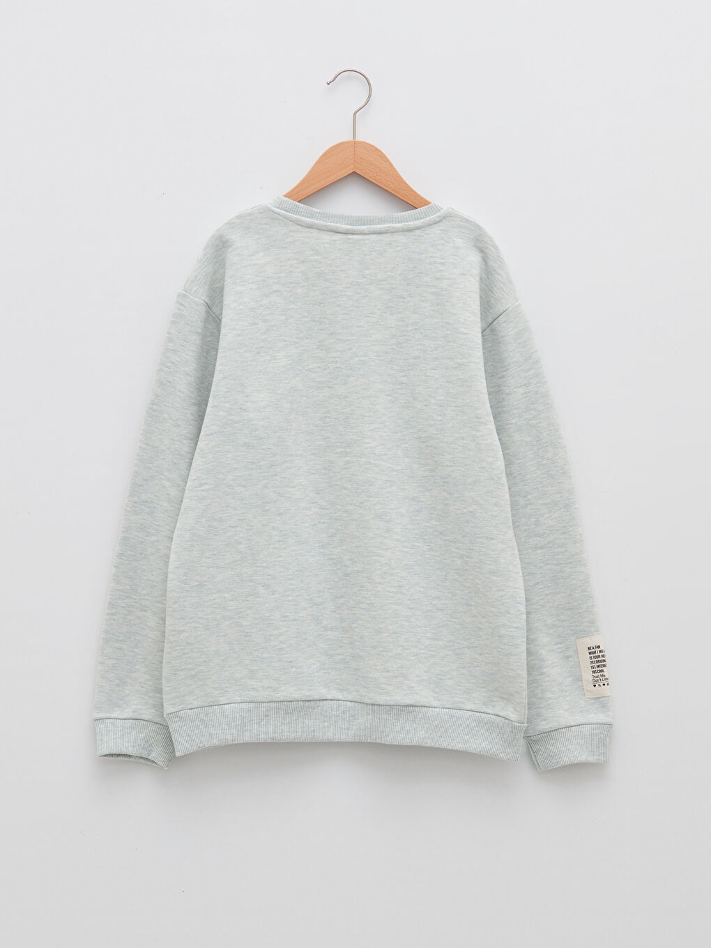 Світшот для хлопчиків з круглим вирізом горловини, базовий, з довгим рукавом-1