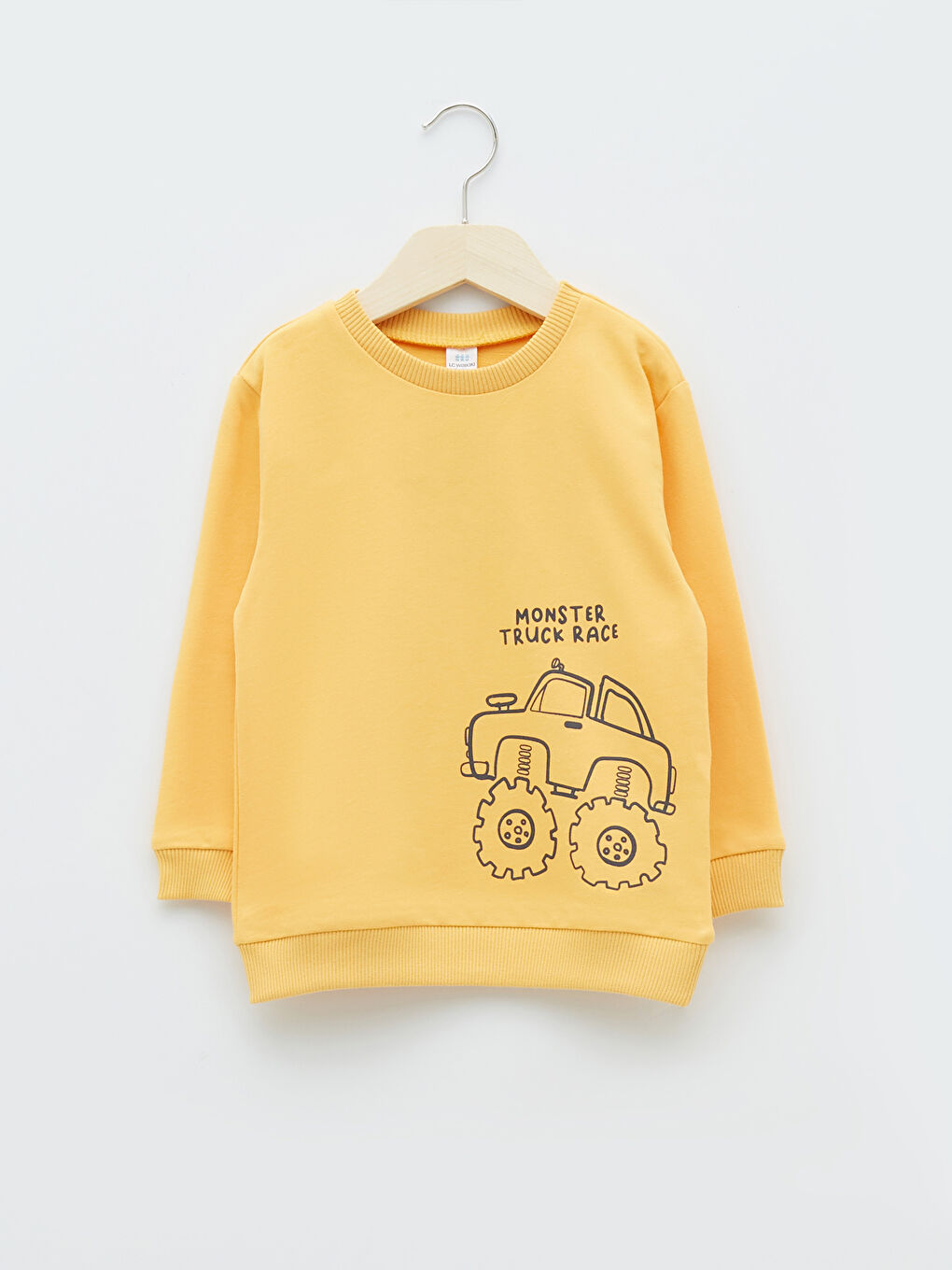 Crew Neck Long Sleeve Printed Baby Boys' Sweatshirt