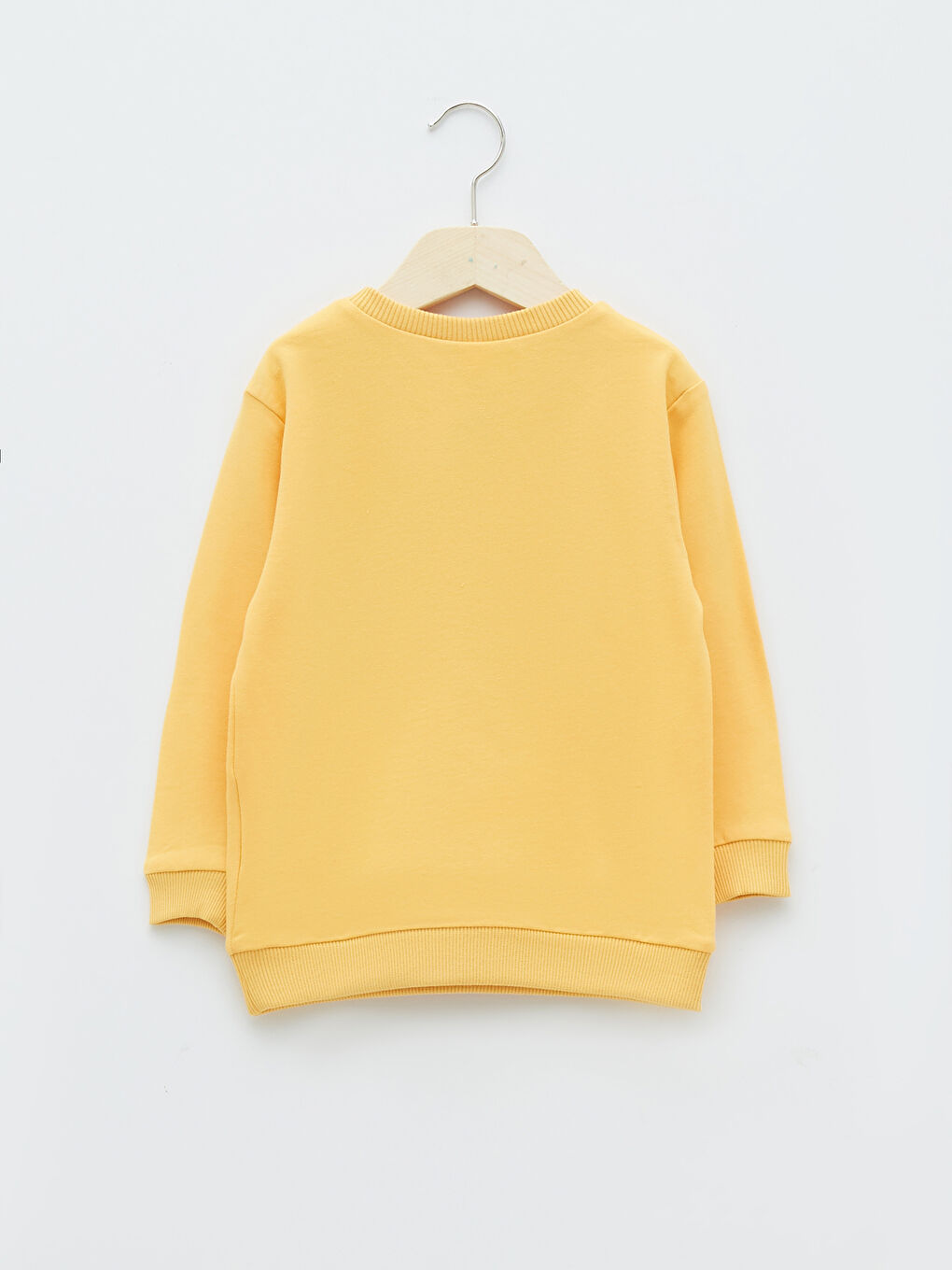 Crew Neck Long Sleeve Printed Baby Boys' Sweatshirt-1