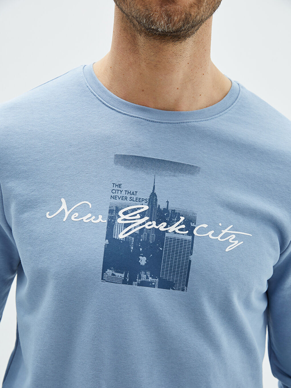 Crew Neck Long Sleeve Printed Men's Sweatshirt-2