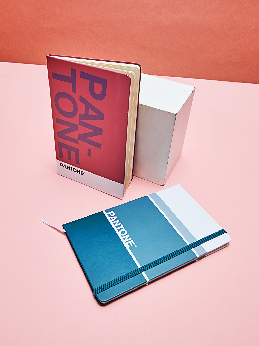 Pantone Fuşya X XSIDE Baskılı Lastikli Renk Bloklu Unisex Defter