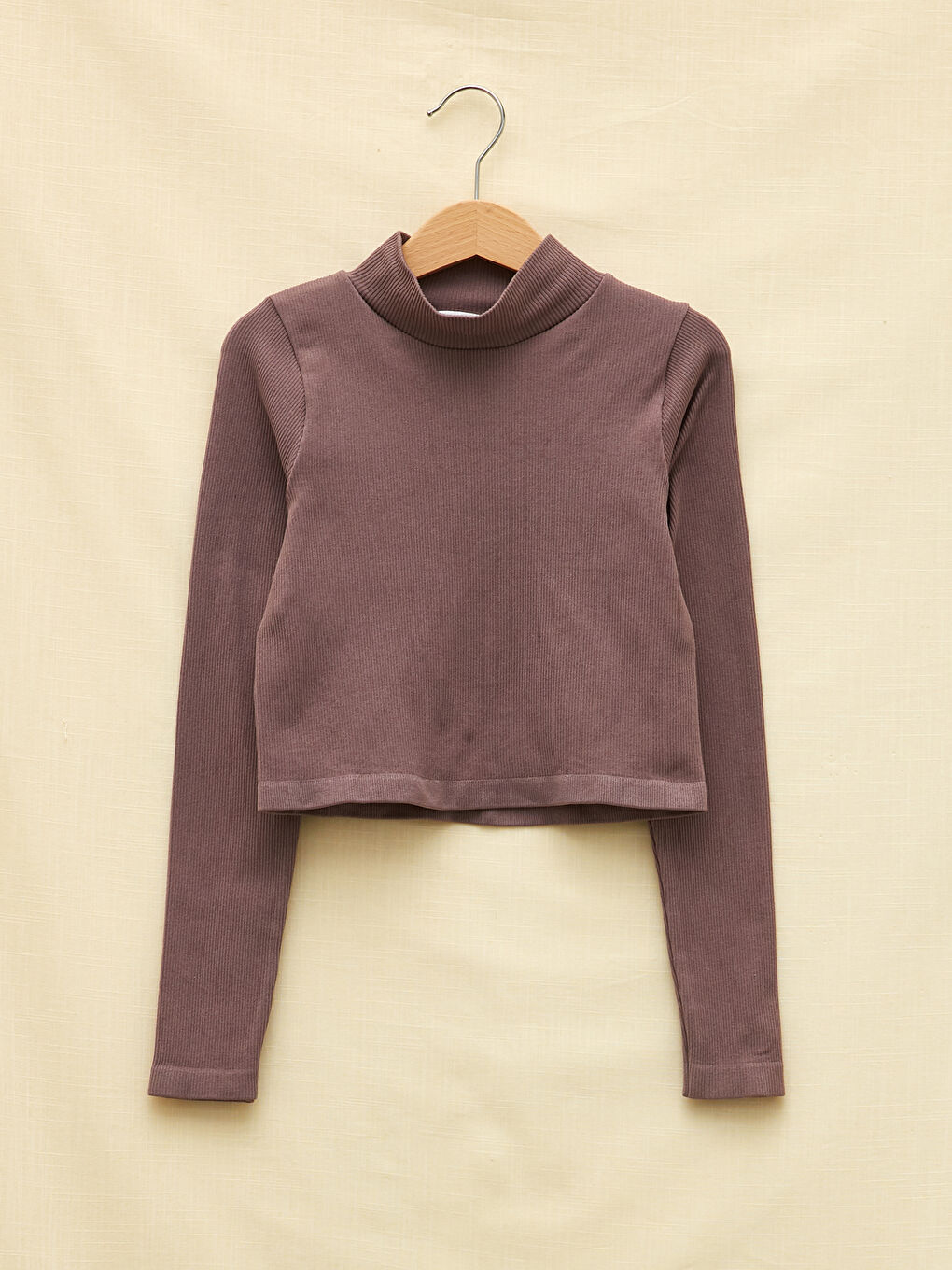 LCW OUTDOOR Stand Up Collar Straight Long Sleeve Crop Seamless Women's Outdoor T-Shirt -W1L182Z8-ELJ