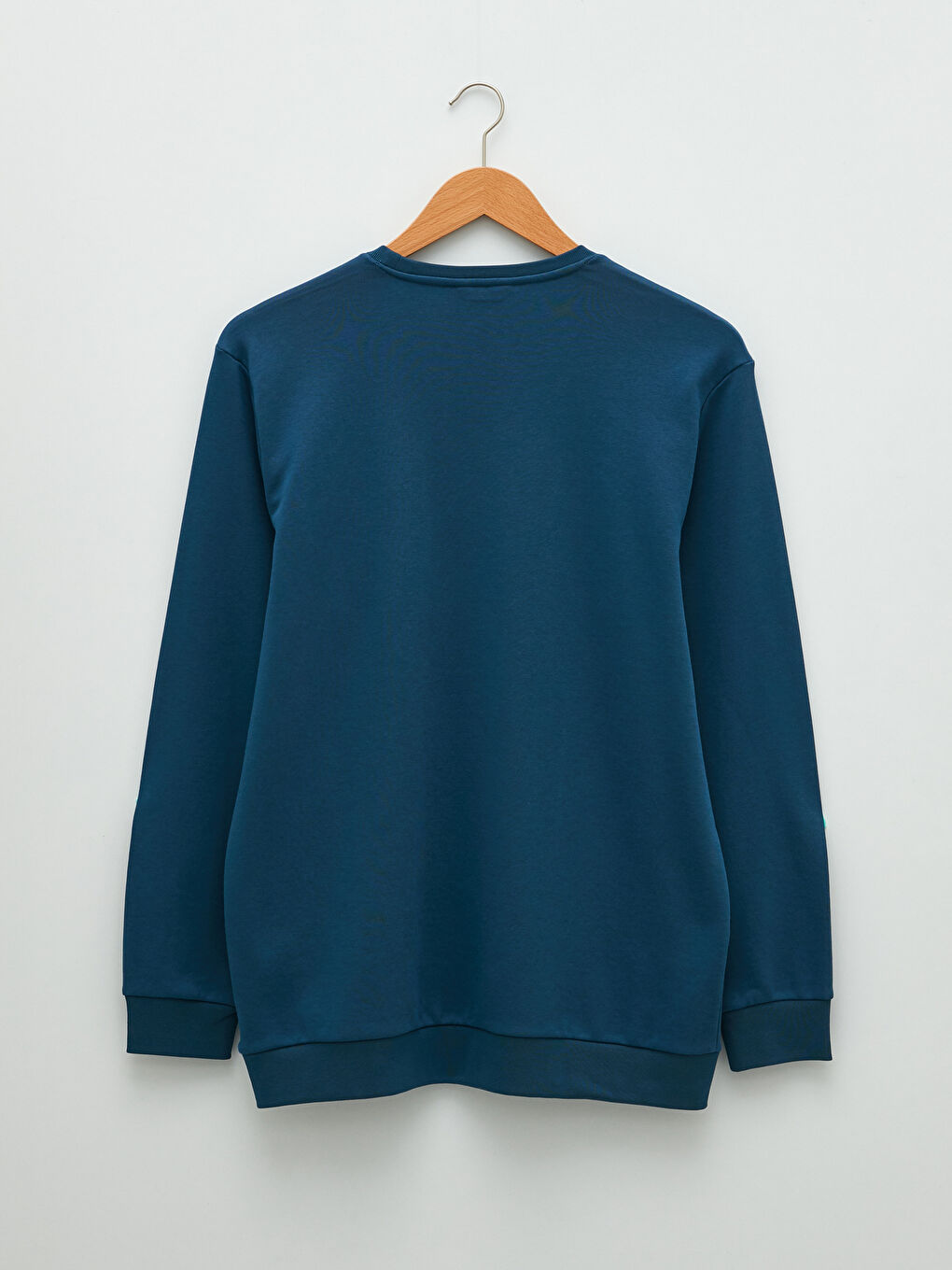 Plus Size Crew Neck Long Sleeve Basic Men's Sweatshirt-6