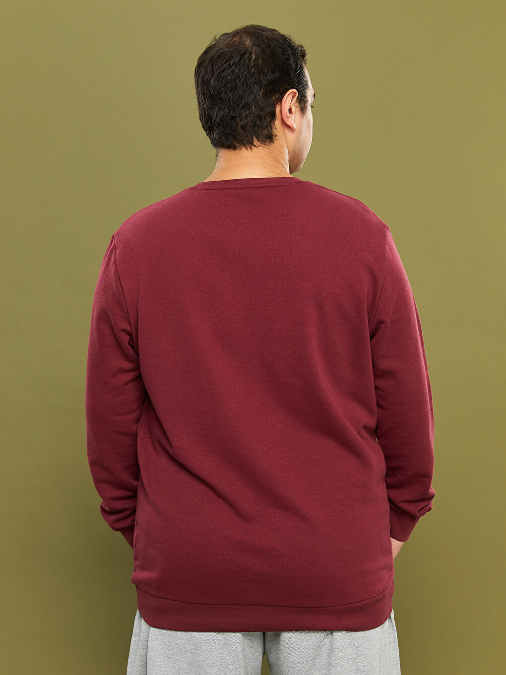 Plus Size Crew Neck Long Sleeve Basic Men's Sweatshirt-4