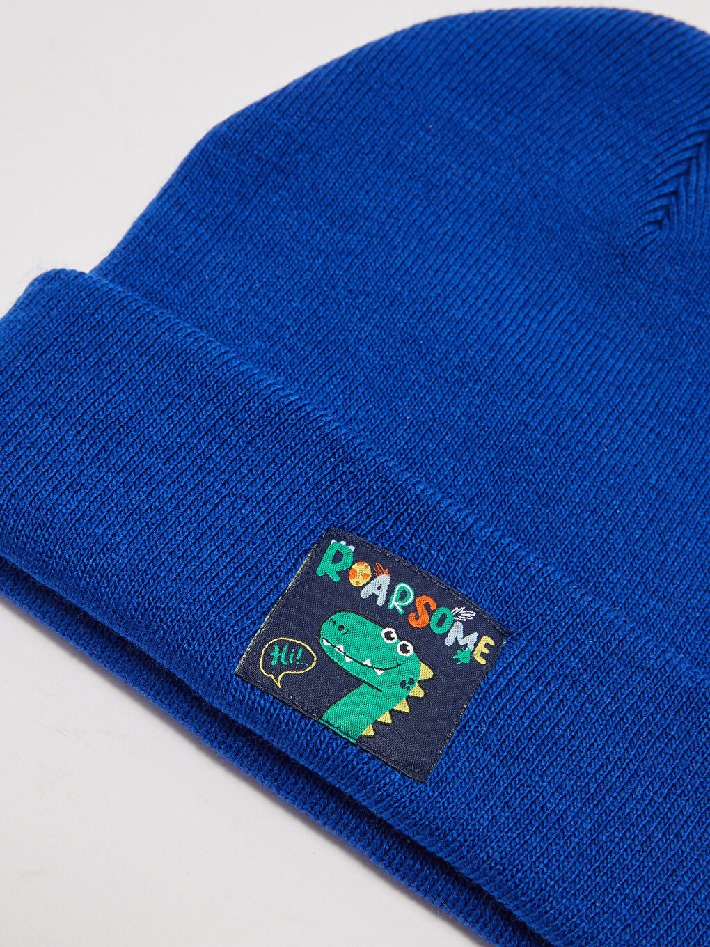 Boy Dinosaur Embroidered Knitwear Beanie-1