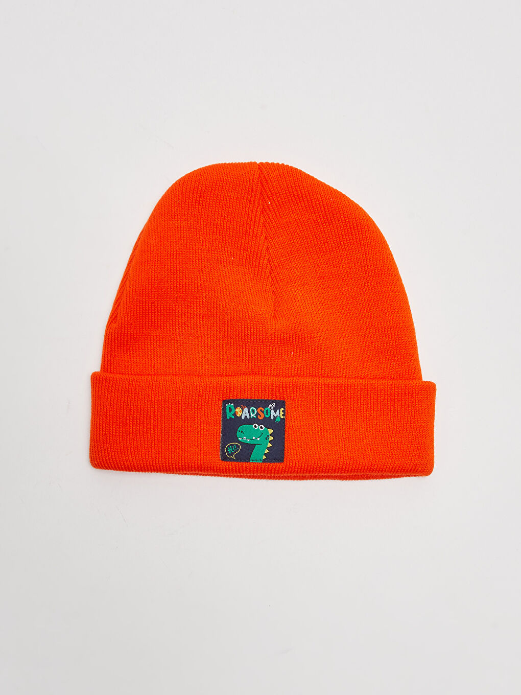 Boy Dinosaur Embroidered Knitwear Beanie