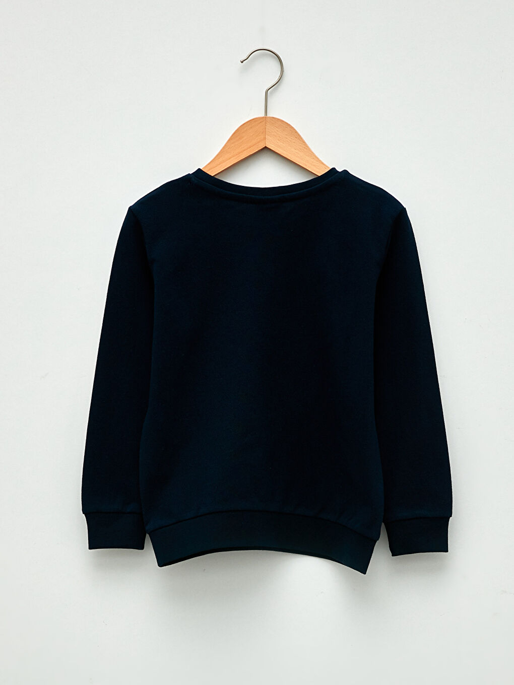 Crew Neck Printed Long Sleeve Boys' Sweatshirt-1