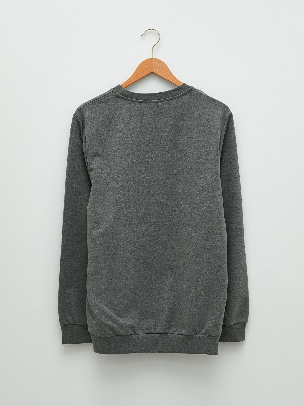 Crew Neck Long Sleeve Printed Men's Sweatshirt-6