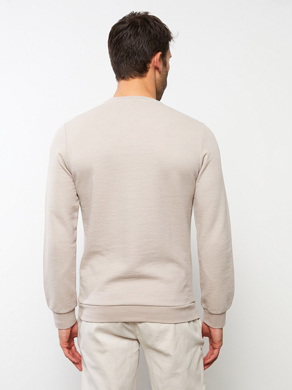 Crew Neck Long Sleeve Men's Sweatshirt-4