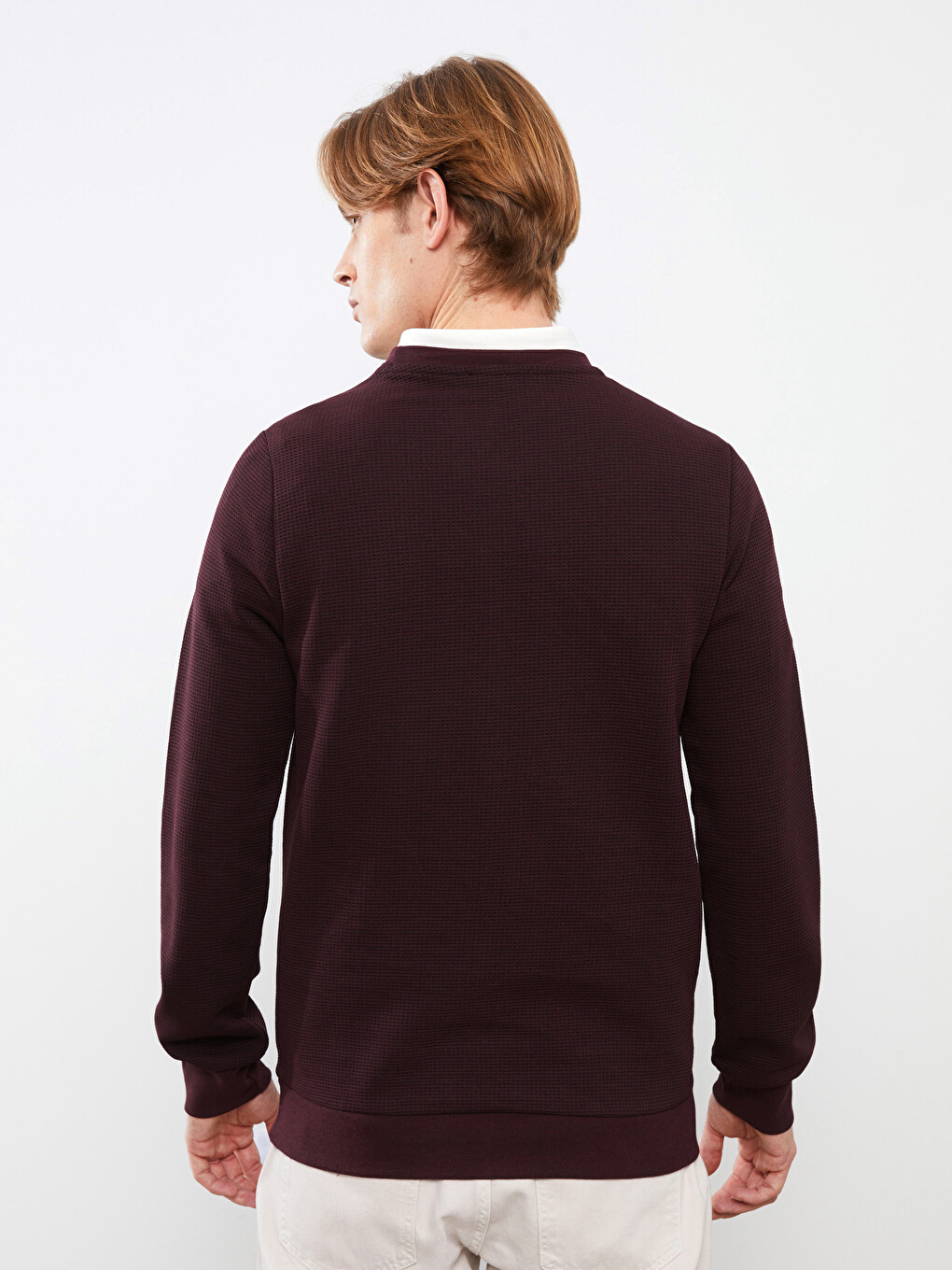 Crew Neck Long Sleeve Men's Sweatshirt-4