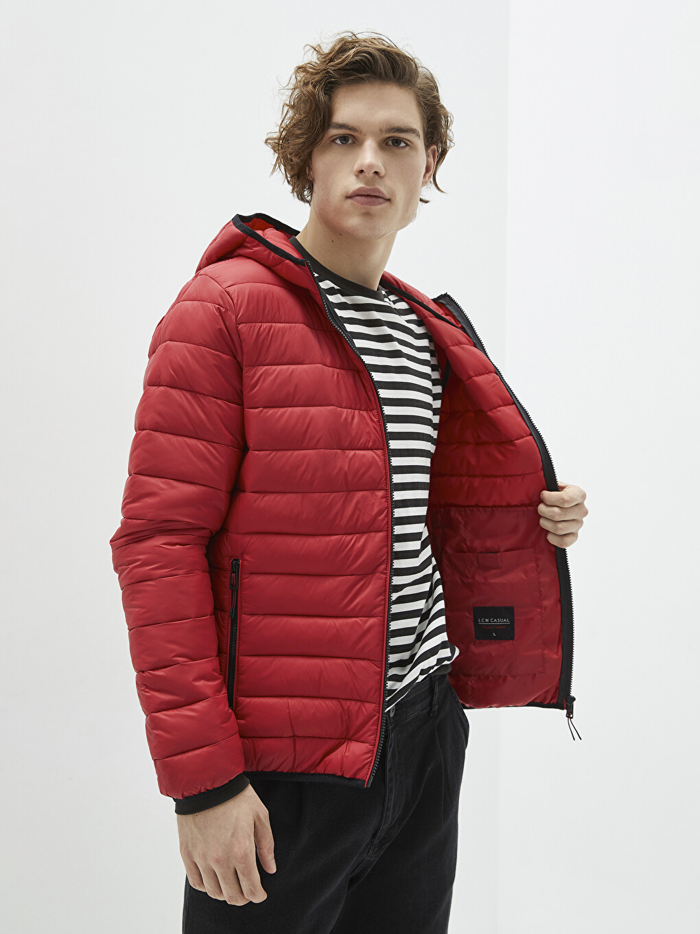 Slim Fit Hooded Upright Collar Men's Down Coat-1