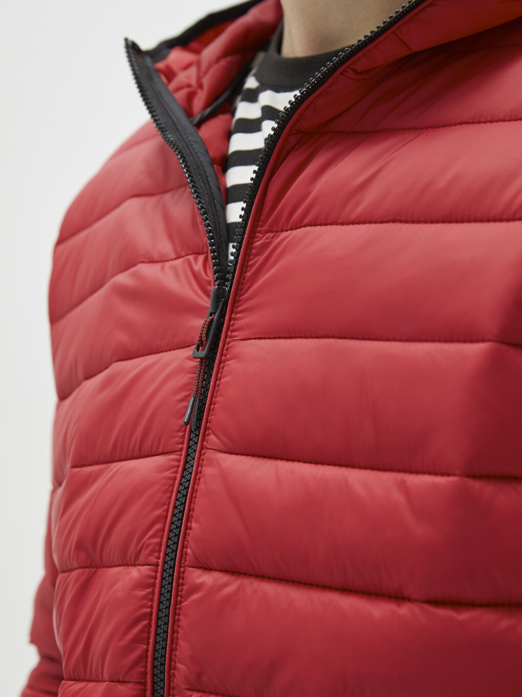 Slim Fit Hooded Upright Collar Men's Down Coat-3