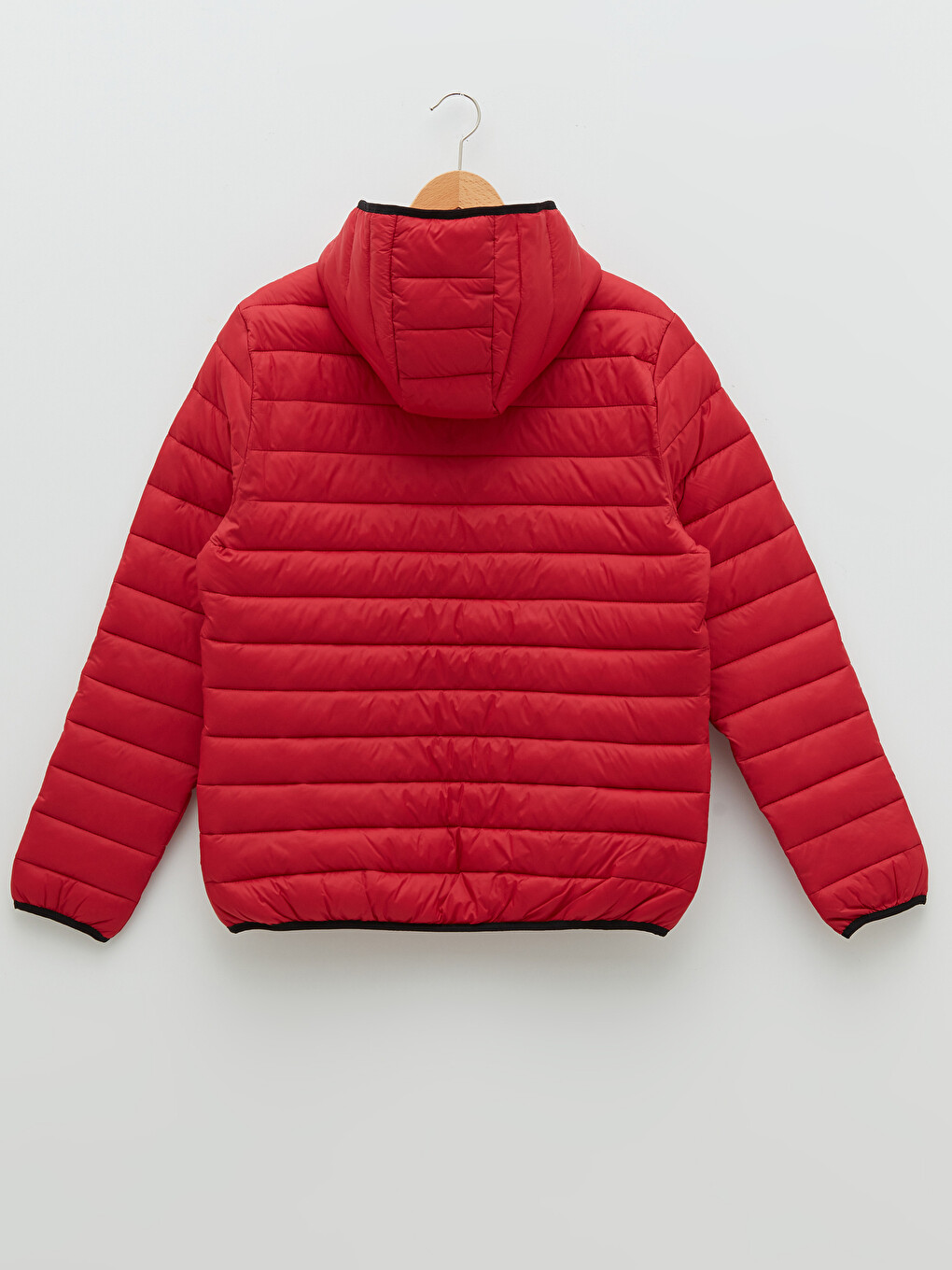 Slim Fit Hooded Upright Collar Men's Down Coat-6