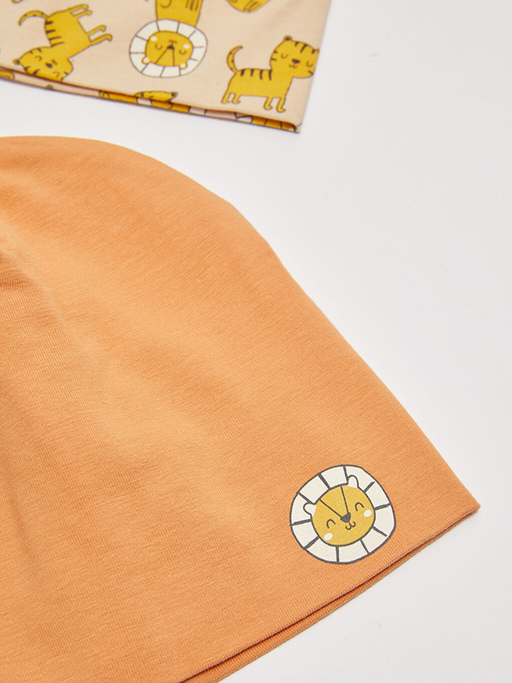 Printed Baby Boys' Beanie 2 Pack-2