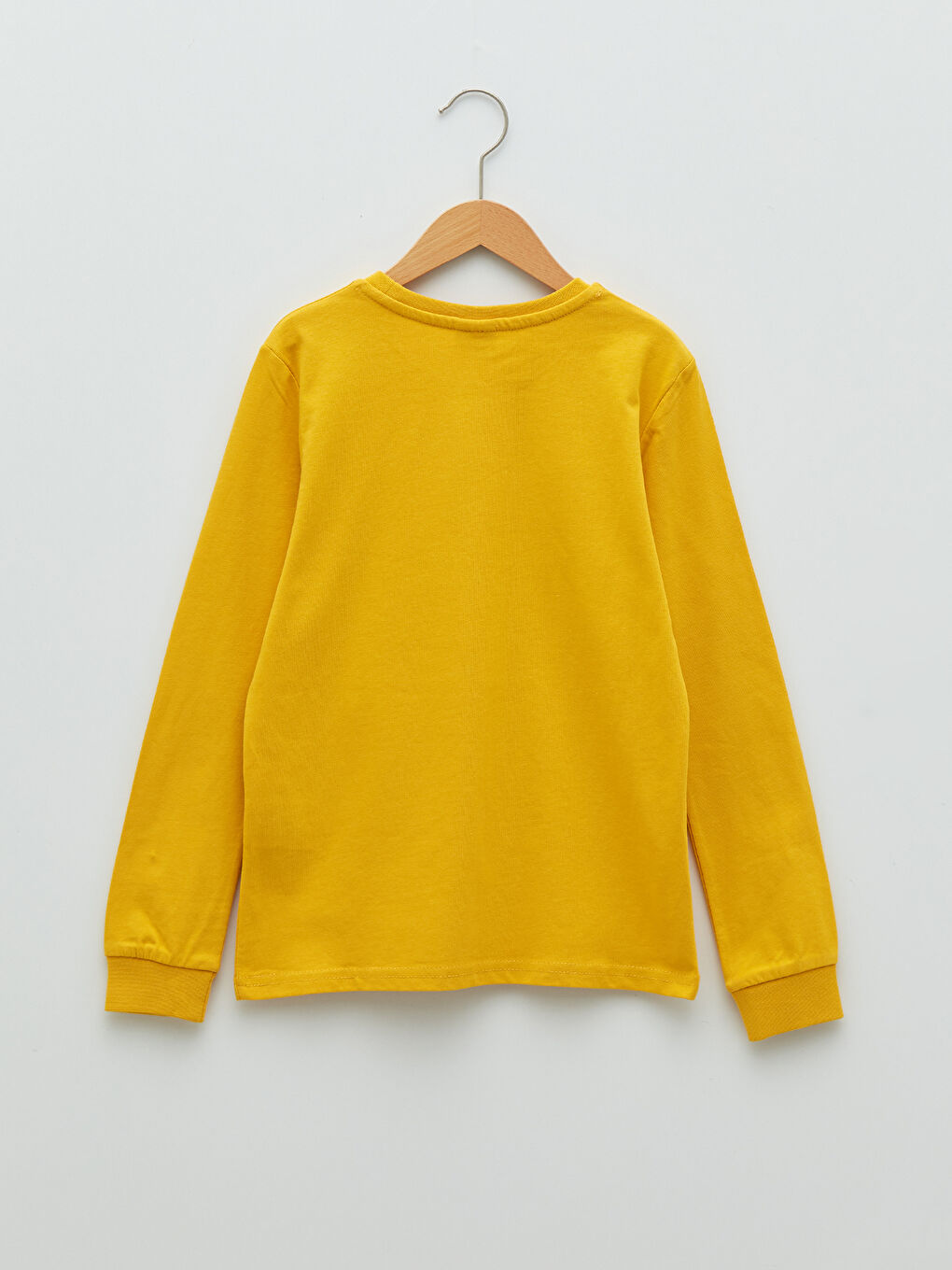 Crew Neck Printed Long Sleeve Boys' T-Shirt-1