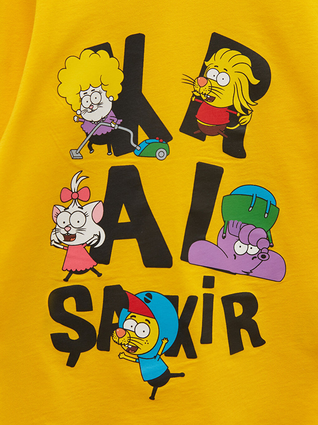 Turuncu Bisiklet Yaka Kral Şakir Baskılı Uzun Kollu Erkek Çocuk Sweatshirt-2