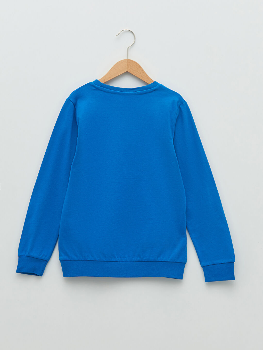 LCW Kids Crew Neck Pijamaskeliler Printed Long Sleeve Boy Sweatshirt -S22687Z4-HFU
