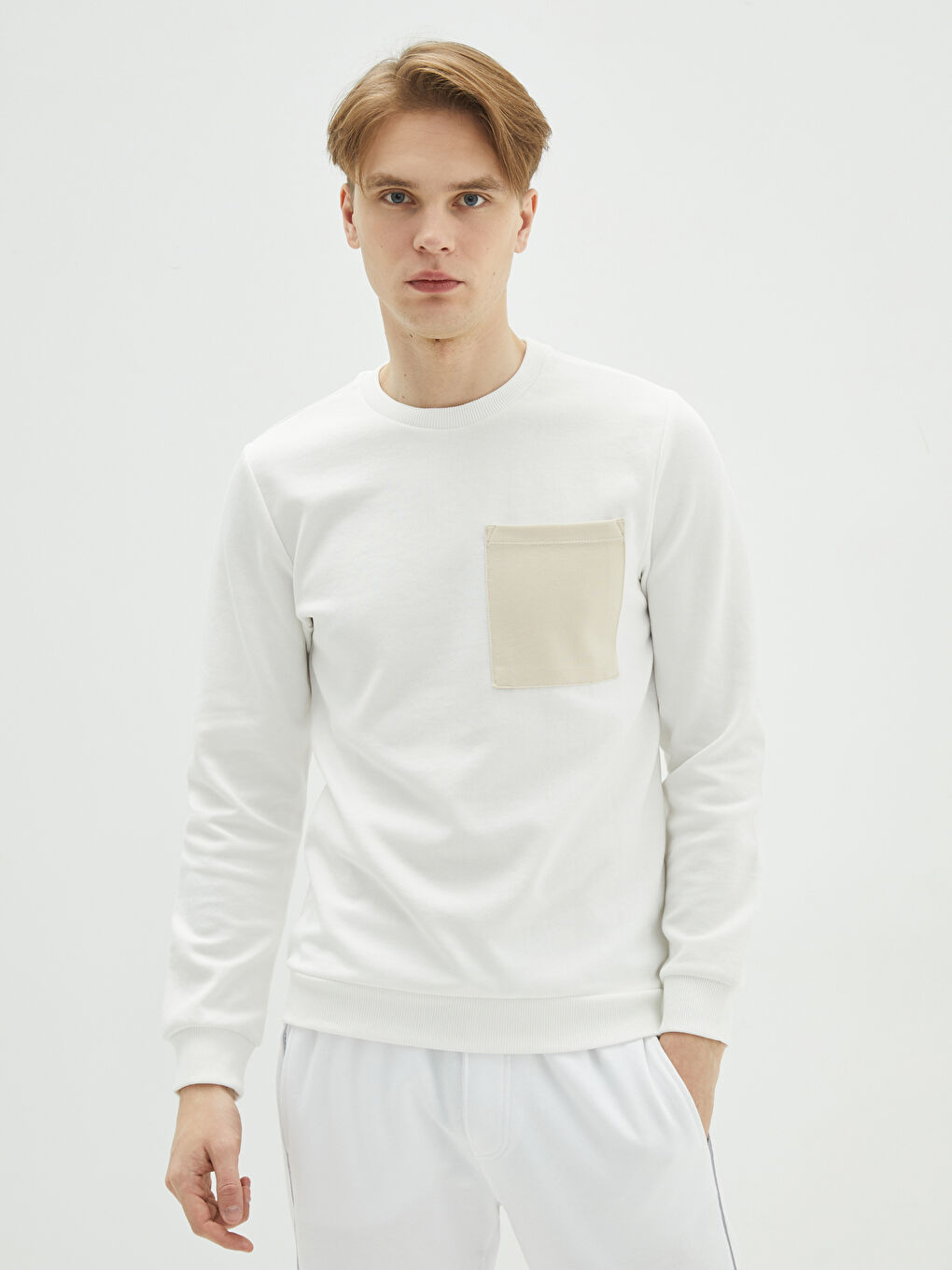 Crew Neck Long Sleeve Men's Sweatshirt-1