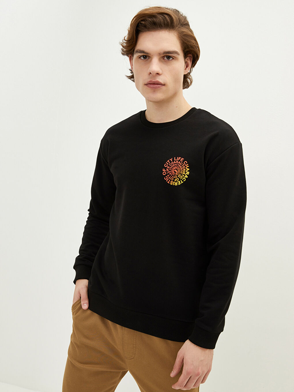 Crew Neck Long Sleeve Printed Men's Sweatshirt-1