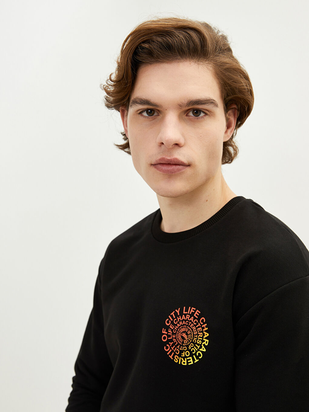 Crew Neck Long Sleeve Printed Men's Sweatshirt-3