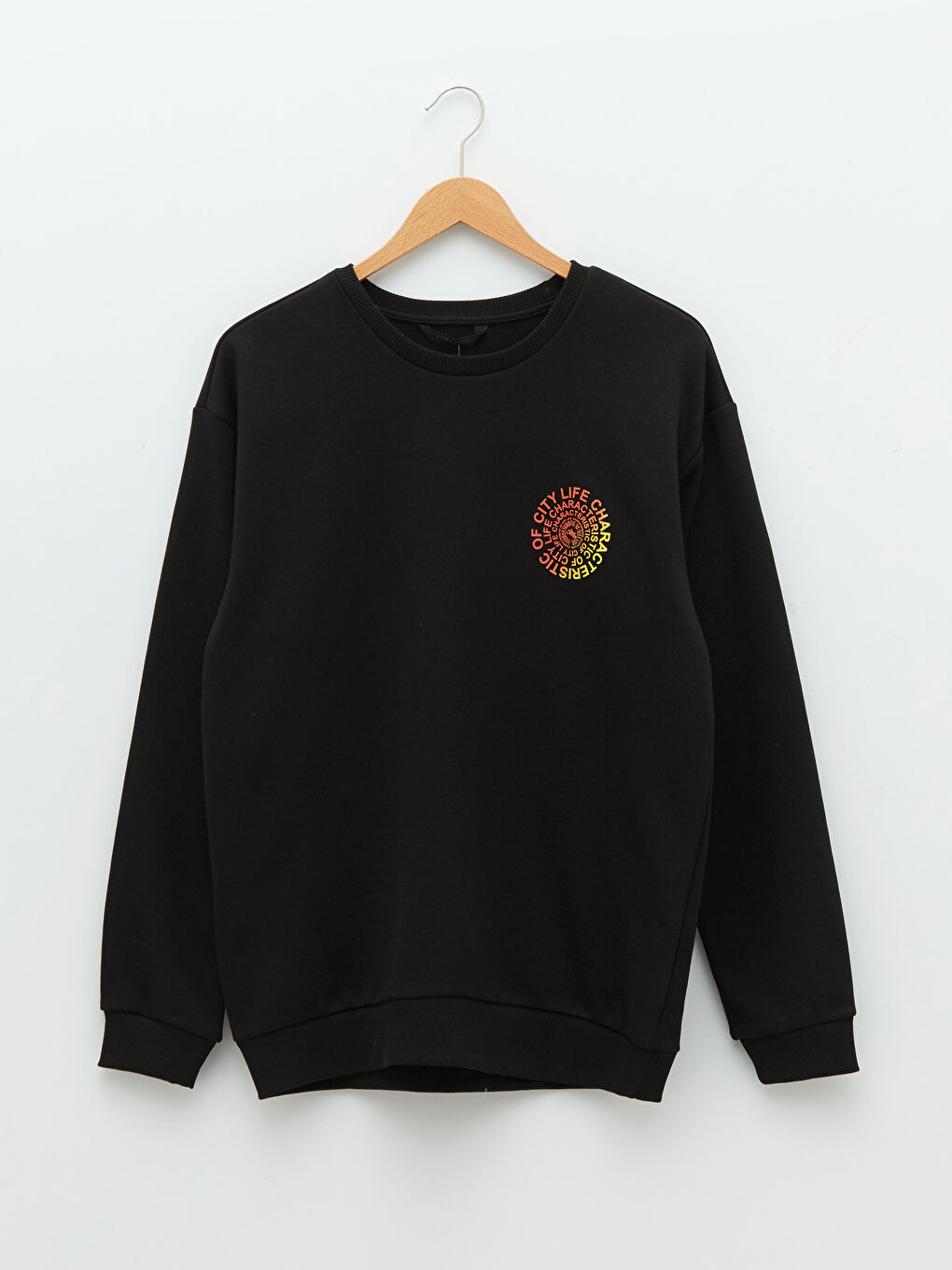 Crew Neck Long Sleeve Printed Men's Sweatshirt-6